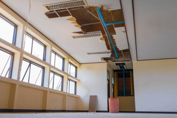 Best Mold removal after water damage  in Dinuba, CA
