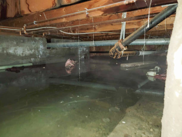 Best Flooded house restoration  in Dinuba, CA