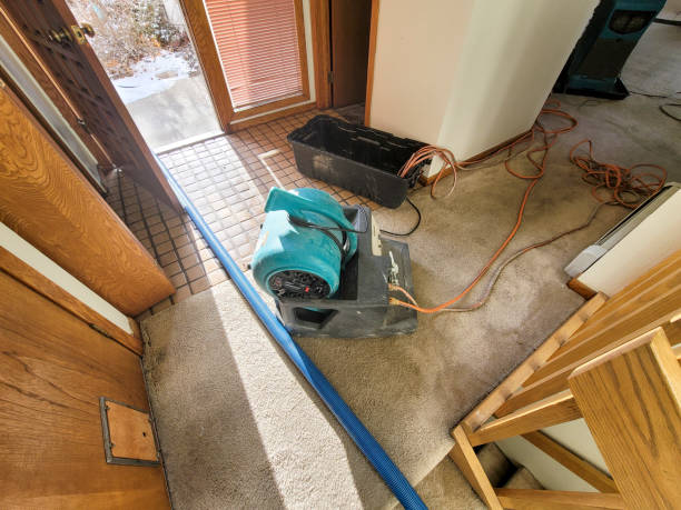 Best Mold removal after water damage  in Dinuba, CA
