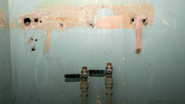 Best Professional water damage repair  in Dinuba, CA