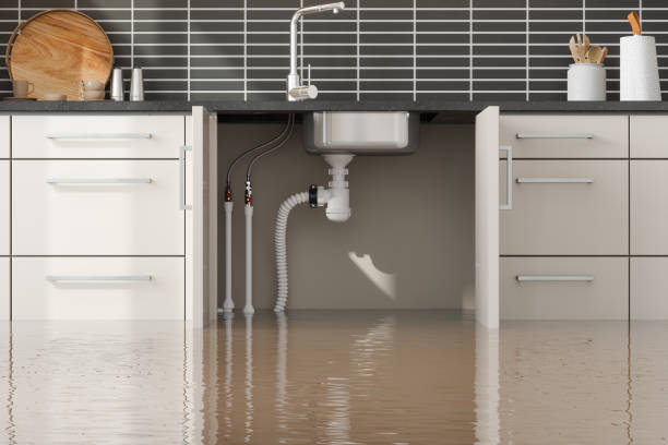 Best Professional water damage repair  in Dinuba, CA