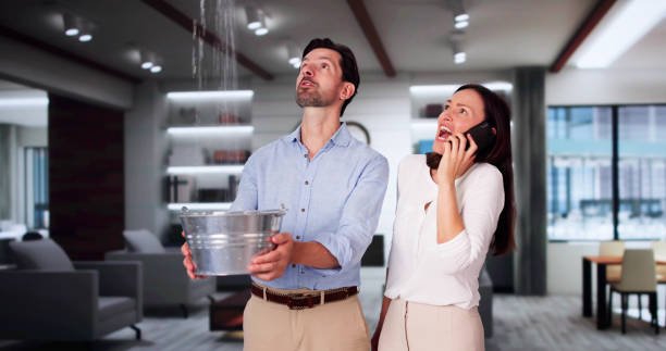 Best Local water damage restoration  in Dinuba, CA